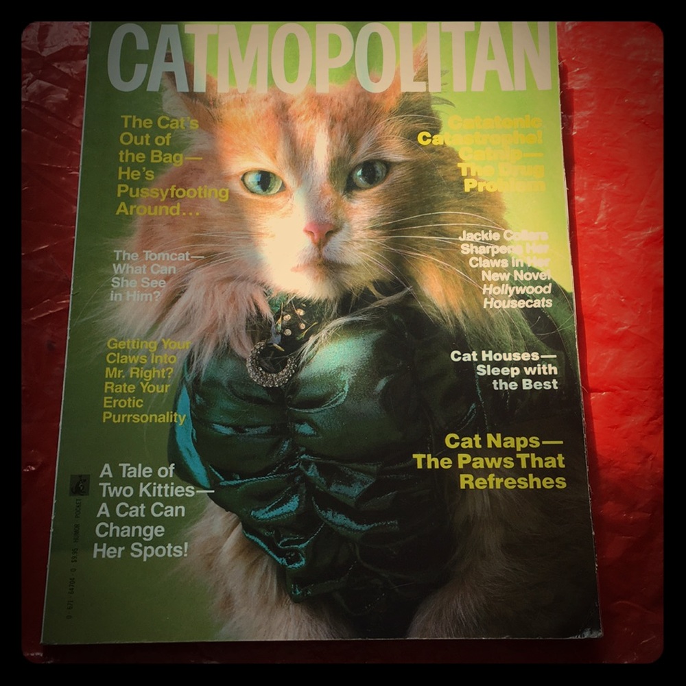 Magazine